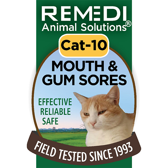 Mouth and Gum Sore Relief Cat Spritz Classical Homeopathic Counseling