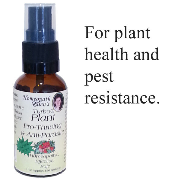 Plant Pro Thrive for healthy plants.