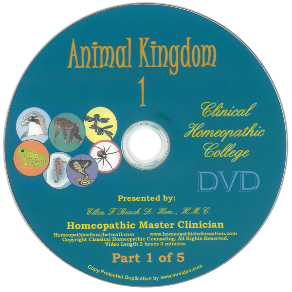 Animal Kingdom Kit Class - DVD or MP4 Video
