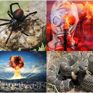 Prepper's Crisis Management